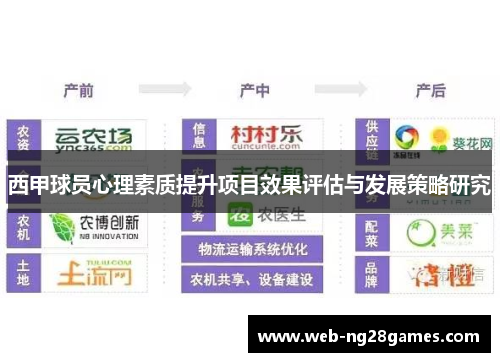 西甲球员心理素质提升项目效果评估与发展策略研究