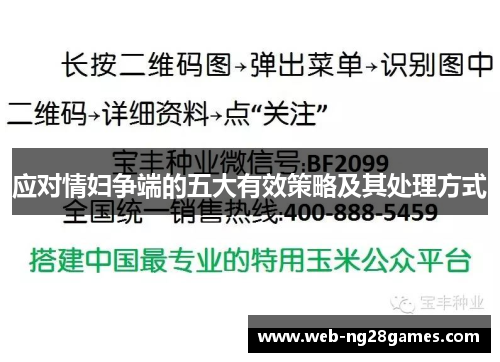 应对情妇争端的五大有效策略及其处理方式