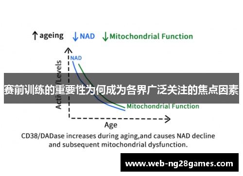 赛前训练的重要性为何成为各界广泛关注的焦点因素