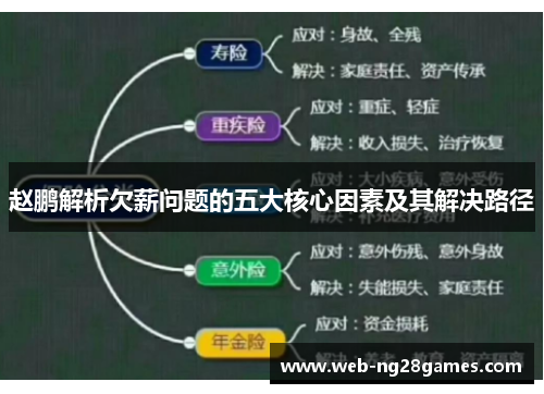 赵鹏解析欠薪问题的五大核心因素及其解决路径
