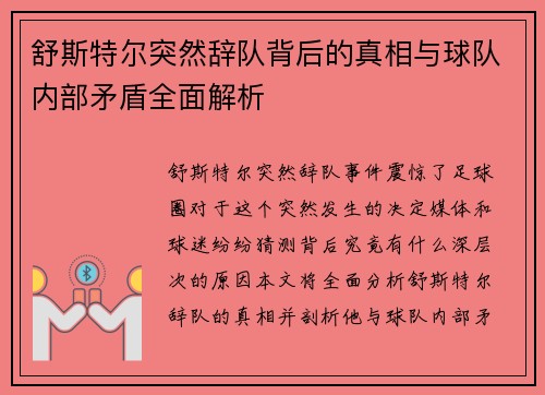 舒斯特尔突然辞队背后的真相与球队内部矛盾全面解析