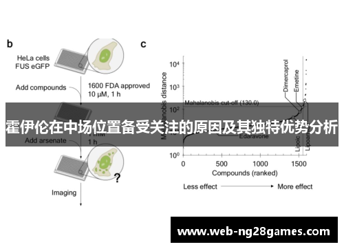 霍伊伦在中场位置备受关注的原因及其独特优势分析