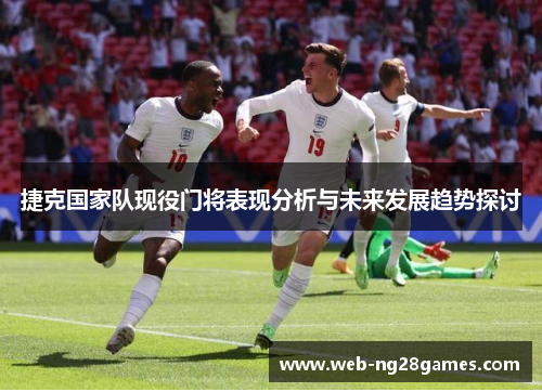 捷克国家队现役门将表现分析与未来发展趋势探讨