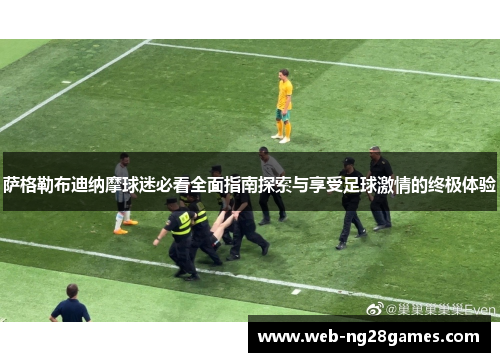 萨格勒布迪纳摩球迷必看全面指南探索与享受足球激情的终极体验