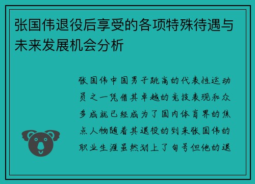 张国伟退役后享受的各项特殊待遇与未来发展机会分析