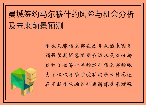 曼城签约马尔穆什的风险与机会分析及未来前景预测